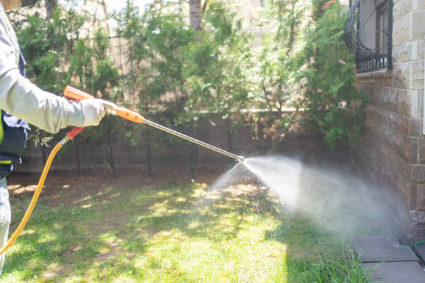 Best Fumigation Services  in Croton On Hudson, NY